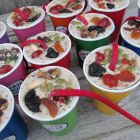 Packed full of premium nuts and other nutritious goodies , your Garden Birds will love these delicious treats