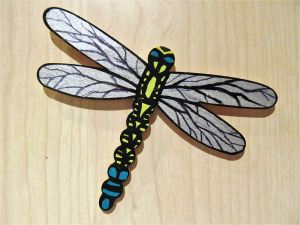 Dragonfly Brooches / Dangles